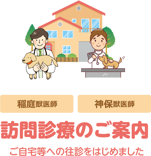 稲庭獣医師 神保獣医師 訪問診療のご案内 ご自宅等への往診をはじめました