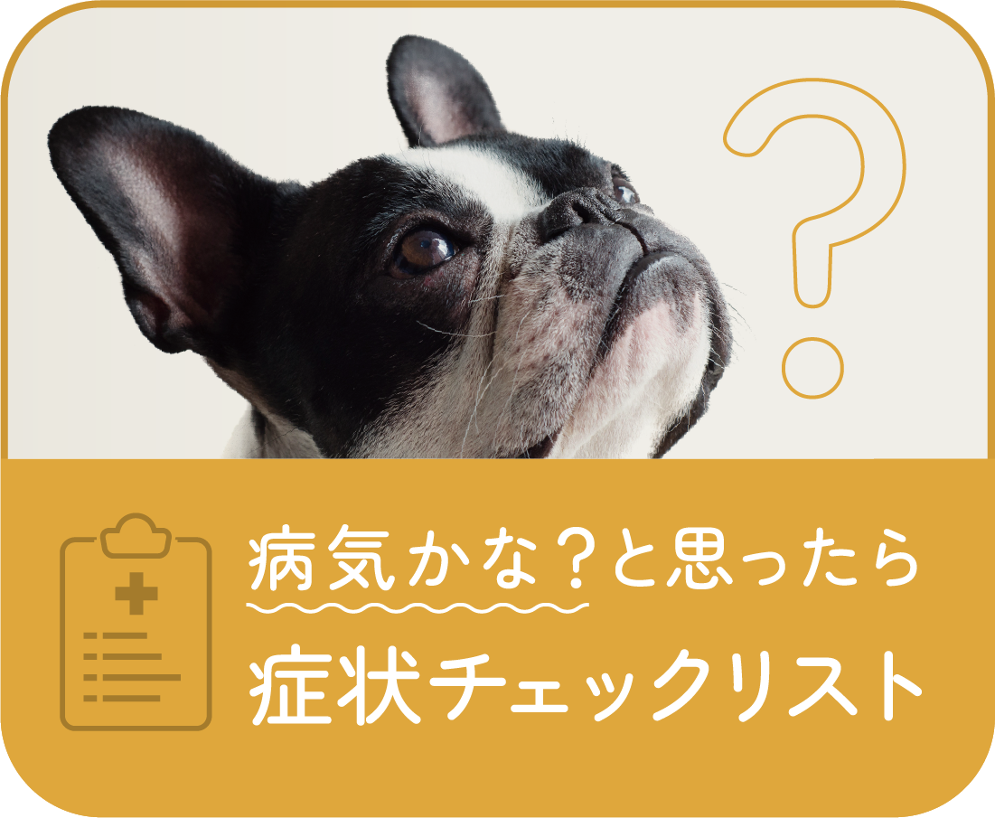 病気かな？と思ったら 症状チェックリスト