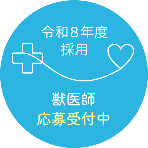 新卒獣医師 応募受付中
